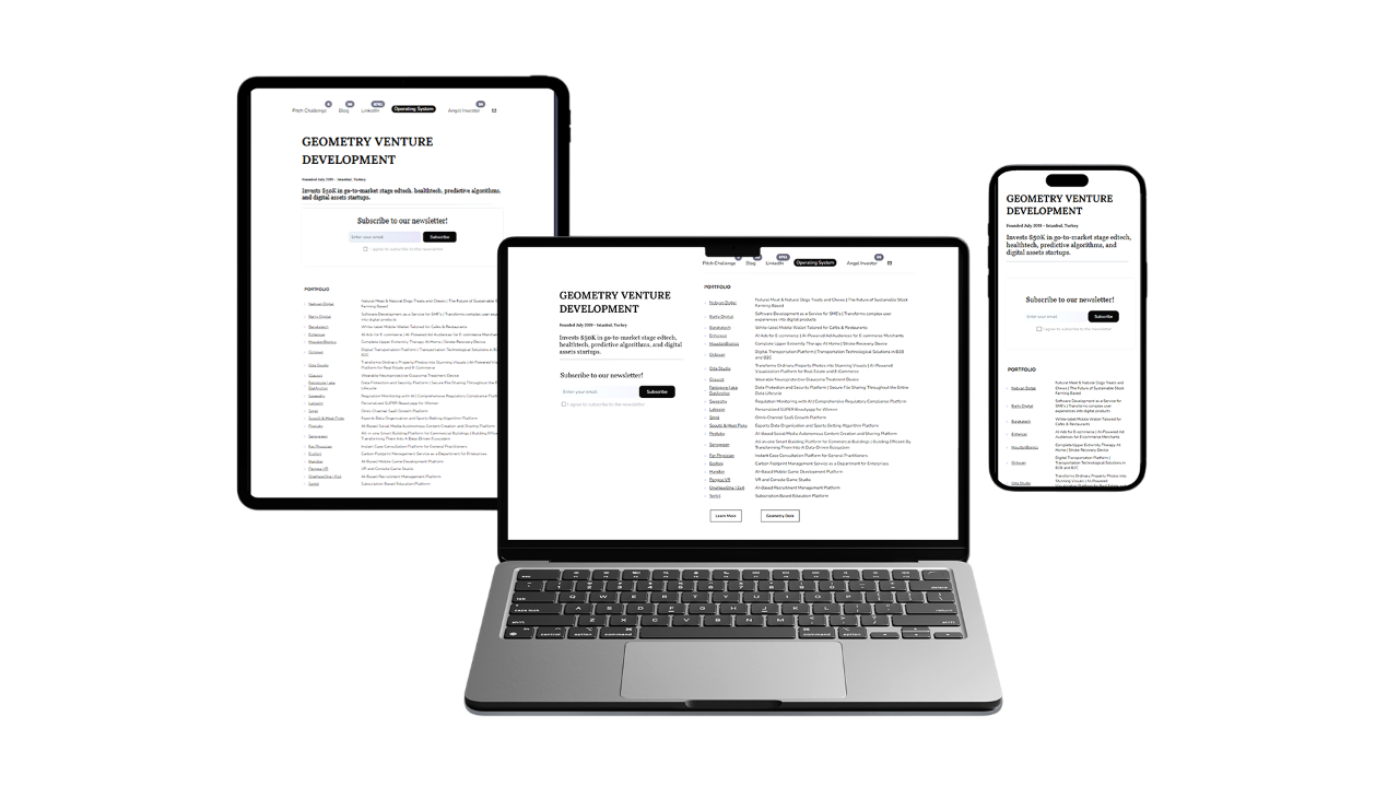Website Redevelopment and Stabilization for Geometry Venture Development